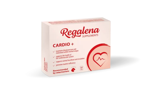 Кардио - Eng- добавка для собачьего сердца